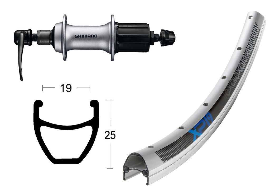 R.post.28x1.75AceraT3000 8v.sg.rap.36f Exal XP-19 arg./raggi arg anod. acc.inox