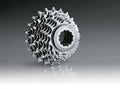 Pacco pignoni Miche Primato 8vel 14-23d. comp. c. Miche/Campa,arg