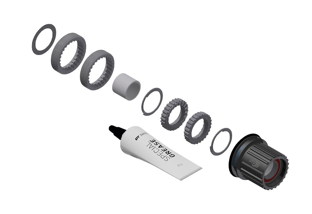 Service Kit DT Swiss mozzo RP 3 Pawl in Ratchet LN, Shim MS acc,18T