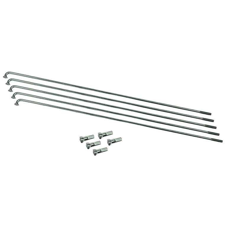 Raggi Babboe 13/172 (5 pezzi/conf.) acciaio inox c. nipple, Polyax 13Gx13,50
