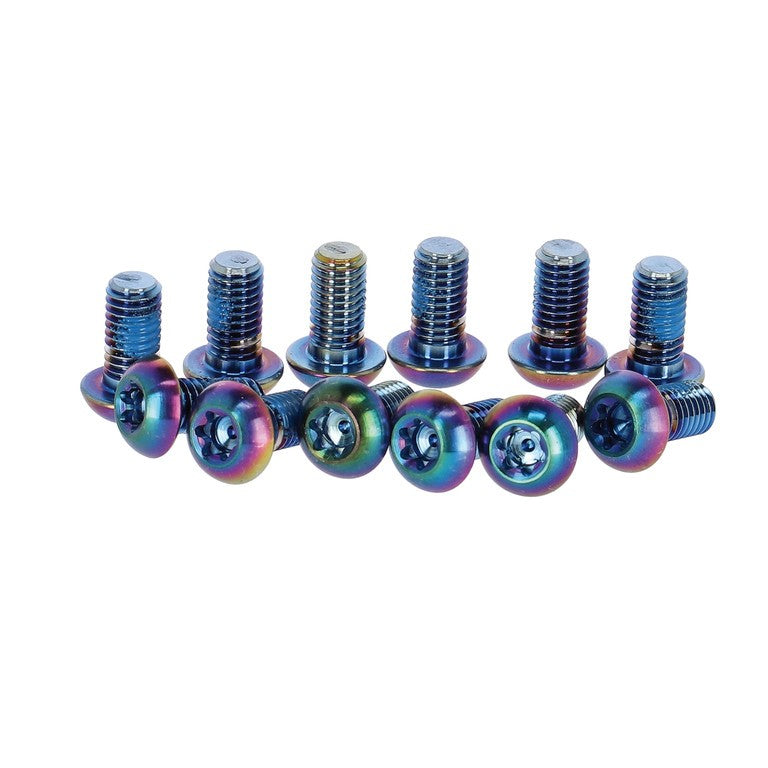 Kit viti SRAM per disco freno T25, titanio, Rainbow, 12 pz