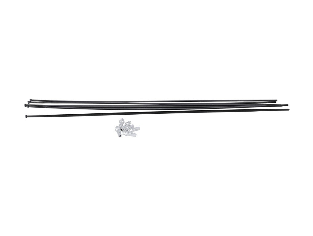 Kit de radios DT Swiss PR 1600 Spline 23 MY 19-23, RA + RP, negro