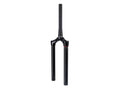 CSU RS Lyrik Ultim.DA 27,5 Boost Gabel 11.4018.090.029,46 Offset, alle, GlossBlack