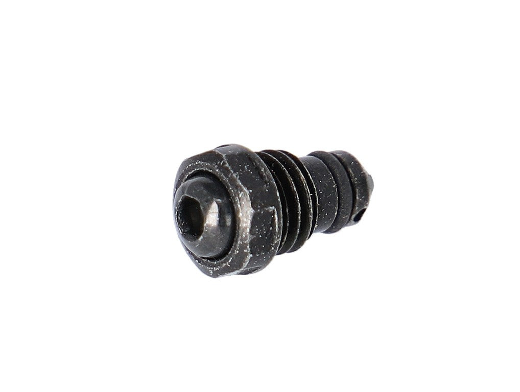 Vite di spurgo Campagnolo per pinza freno