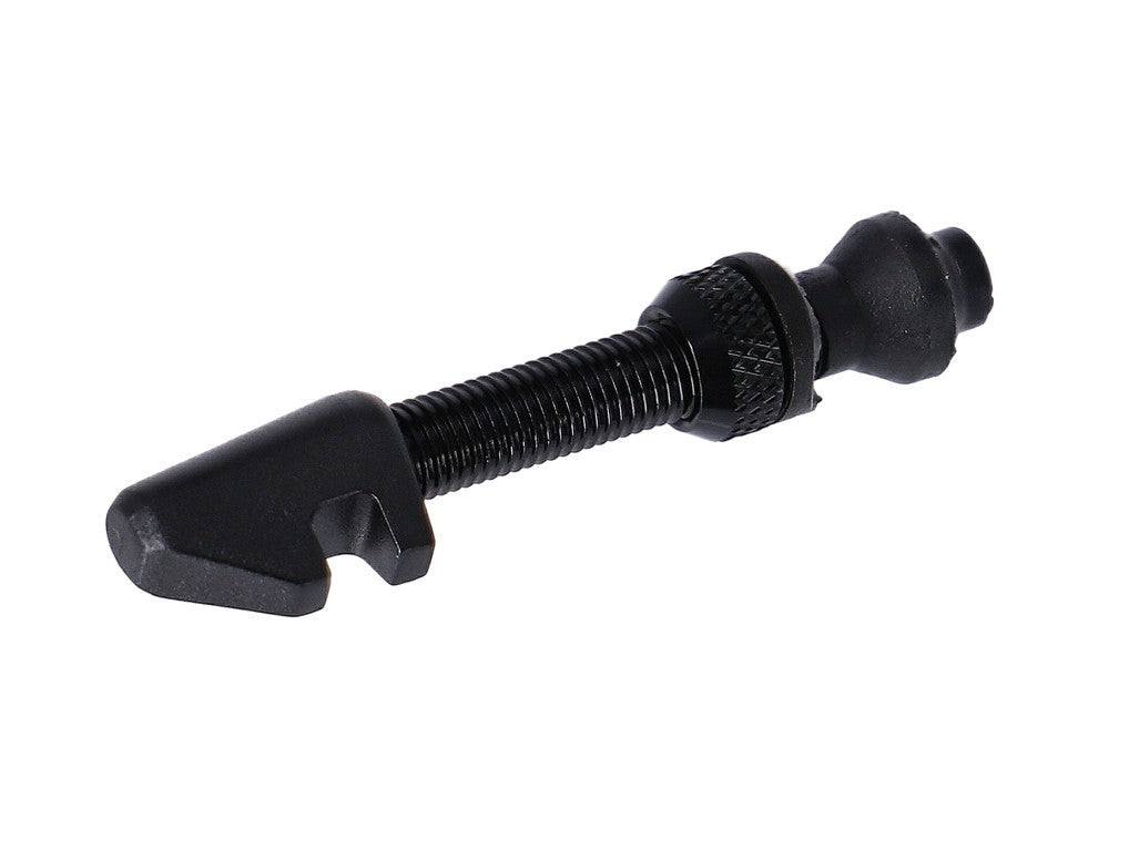 DT Swiss Tubeless-Ventil 18-25 mm, schwarz, alle, für asymmetrische Felgen