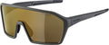 ALPINA Occhiali da sole Ram HM+