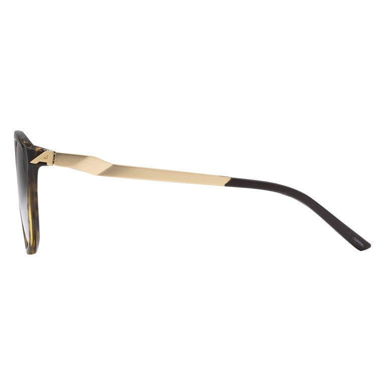 Alpina Fleek Sportbrille, braun-gold, schwarze Gläser, Kat. 3
