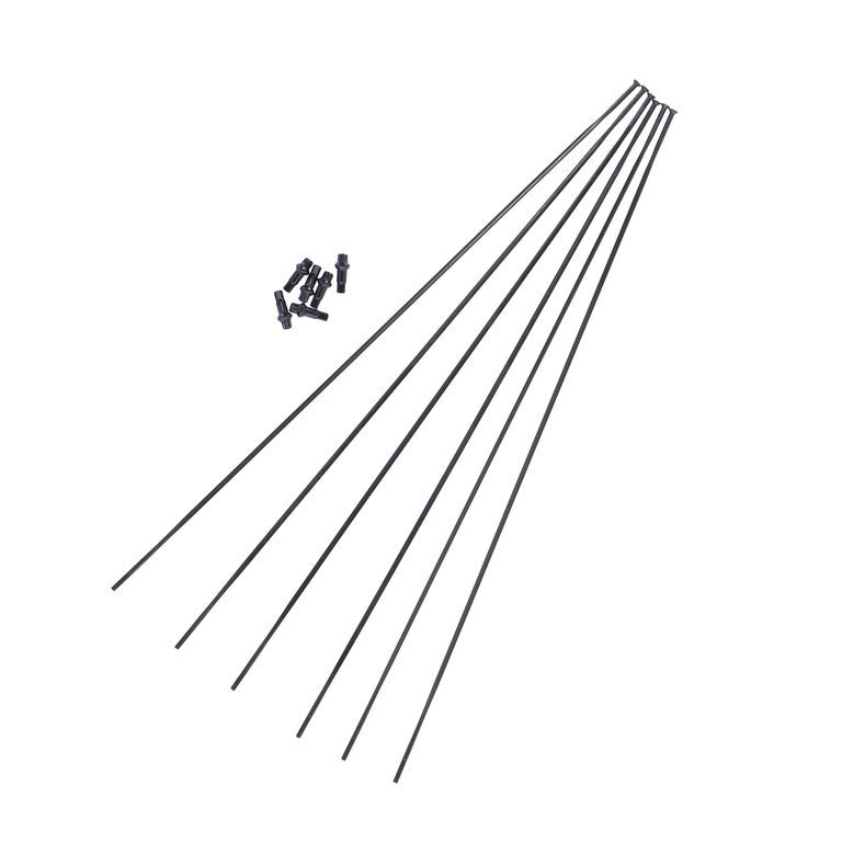 Kit de radios DT Swiss EXC1200 Spl.29/30 del año 21, RA + RP, negro