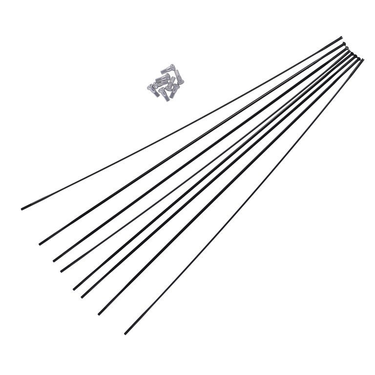Kit raggi DT Swiss PRC 1100 Dic 25Y DB MY 20, RA + RP, nero