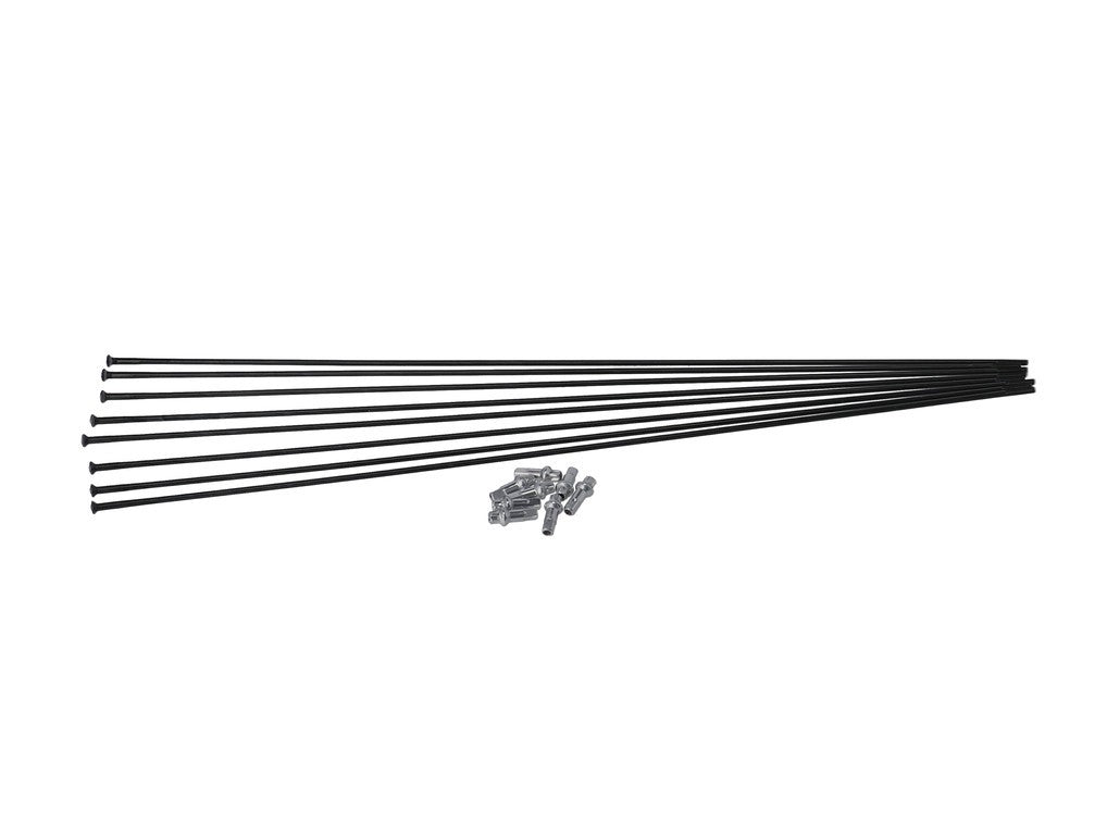Kit raggi DT Swiss HXC1200 Spline 29 MY 19-22, RA + RP, nero