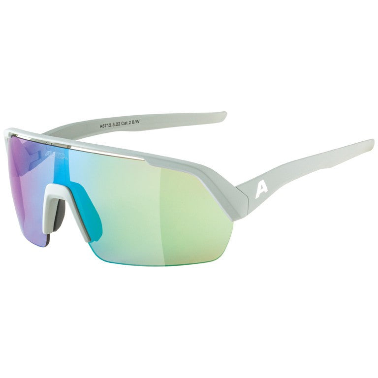 Alpina Turbo HR Brille, Rauchglas, Nebelgläser, speziell, Kat. 2
