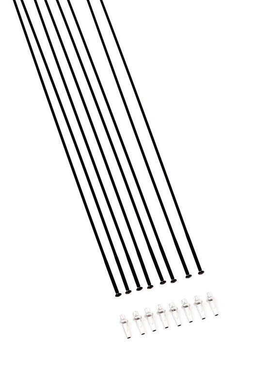 Kit raggi DT Swiss ARC1100 DI 650B 50W dal MY 22, DB, RA + RP, nero