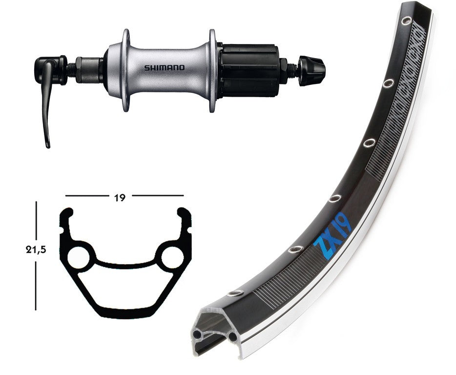 RP 28x1.75AceraT3000 Kass.8-v.sg.r.36L EXAL ZX 19 ne/lucido raggi acciaio inox