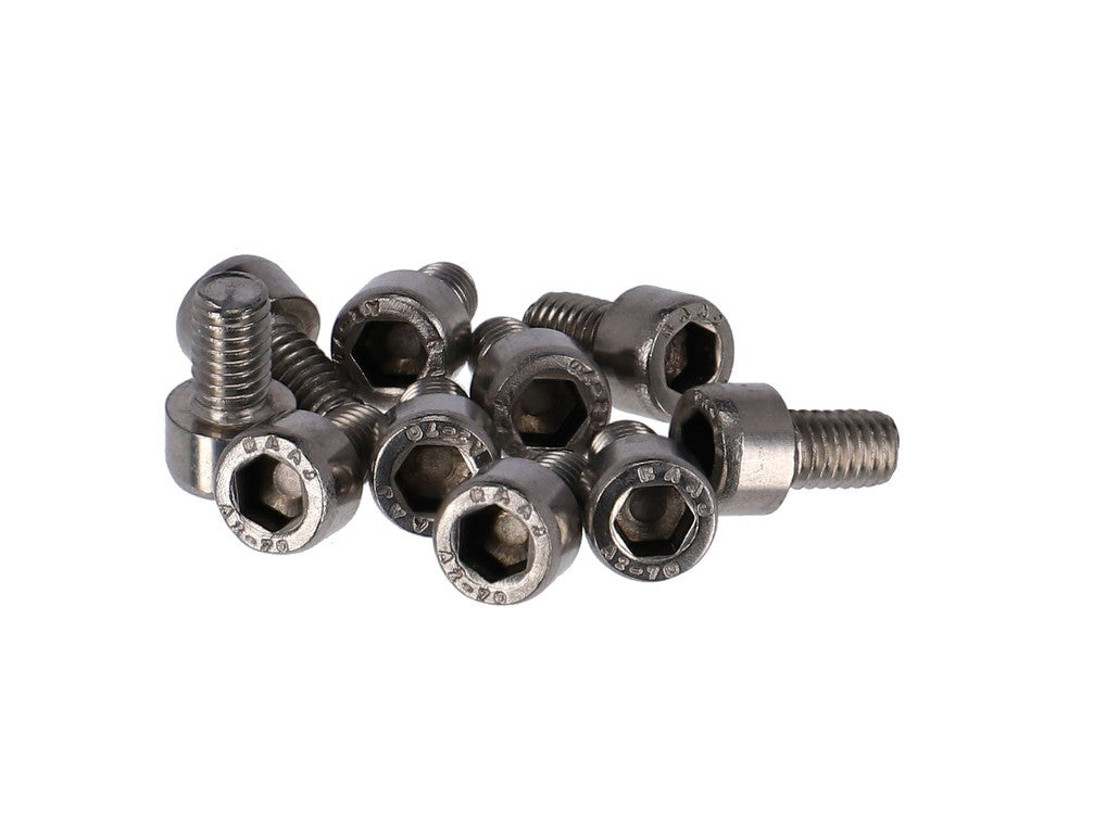 10 Innensechskantschrauben M 6 x 16, passend für den Beutel. Edelstahl.