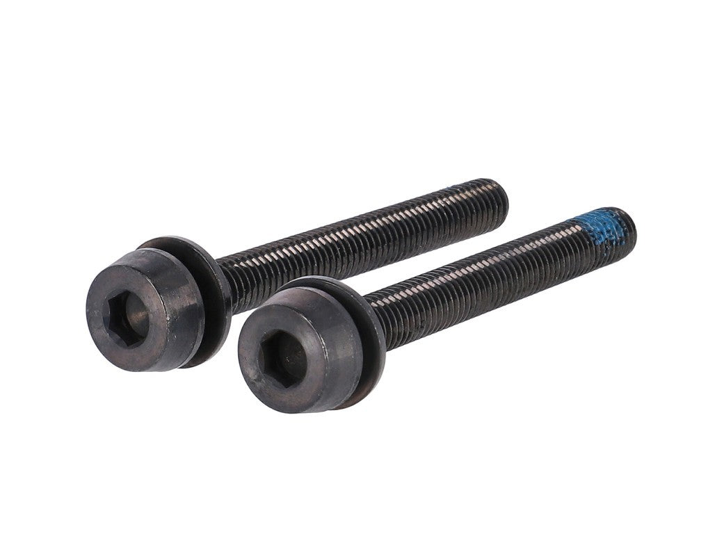 Tornillos Campagnolo H11 (freno de disco) 2x44mm para freno trasero 35-39mm