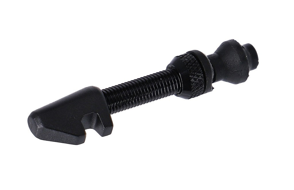 Valvola Tubeless Cyl Nut DT Swiss 18-25mm, nero, alluminio