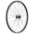 RA DT Swiss FR 1500 Classic 29"/30mm allu, ne, IS-6-fori, 110/20mm TA Boost