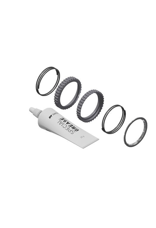 Kit de servicio DT Swiss buje RP Ratchet DEG, 72T, s. herramienta