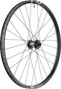 RA DT Swiss F 1900 Classic DB 29"/30mm allu,nr, IS 6 fori, 110/20 TA Boost