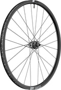 RA DT Swiss GR1600 Spline 25 DB DY 29" komplett schwarz, CL, 100/12 mm TA Nabendynamo