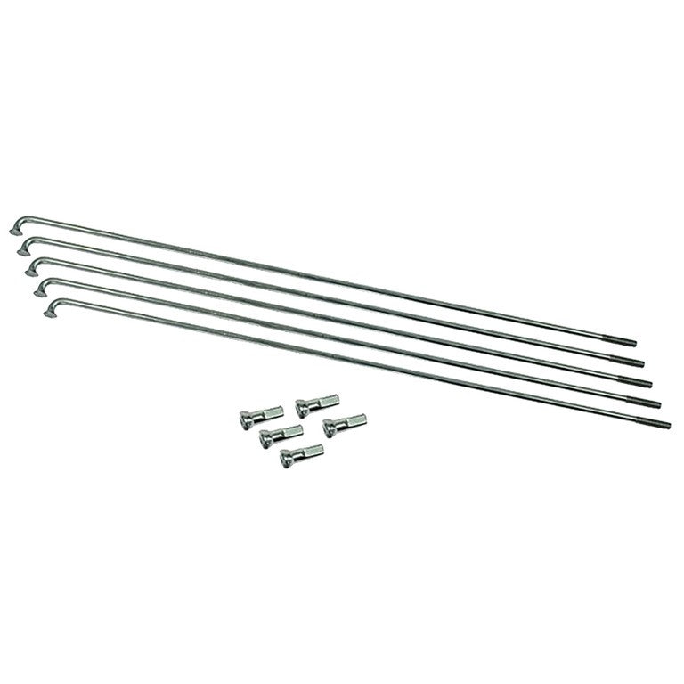 Radios Babboe 13/160 (5 uds./paquete) de acero inoxidable con cabecilla, polyax, 13Gx14.00