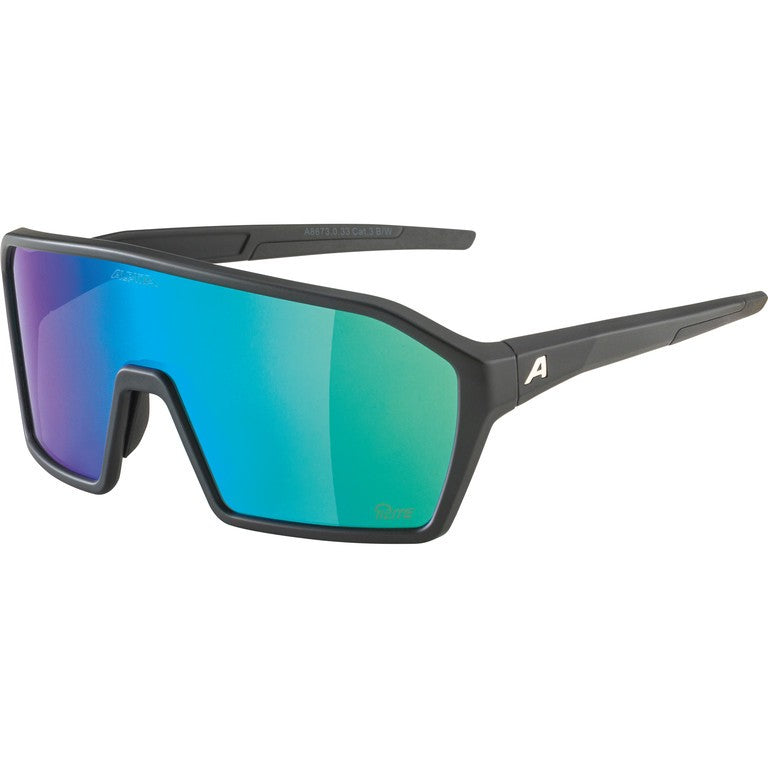 ALPINA Occhiali da sole Ram Q-Lite